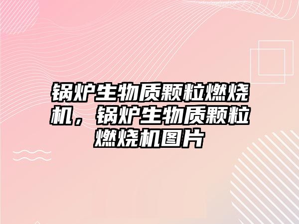 鍋爐生物質顆粒燃燒機，鍋爐生物質顆粒燃燒機圖片