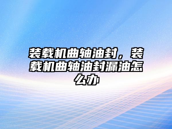 裝載機(jī)曲軸油封，裝載機(jī)曲軸油封漏油怎么辦