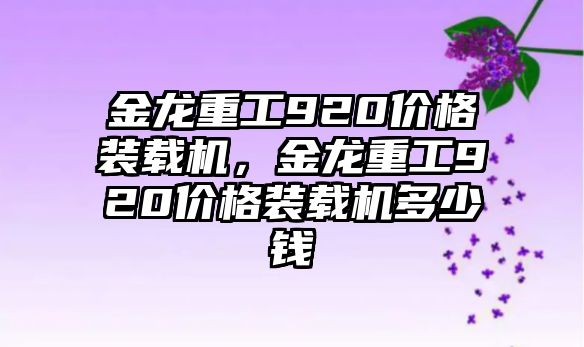 金龍重工920價格裝載機(jī)，金龍重工920價格裝載機(jī)多少錢