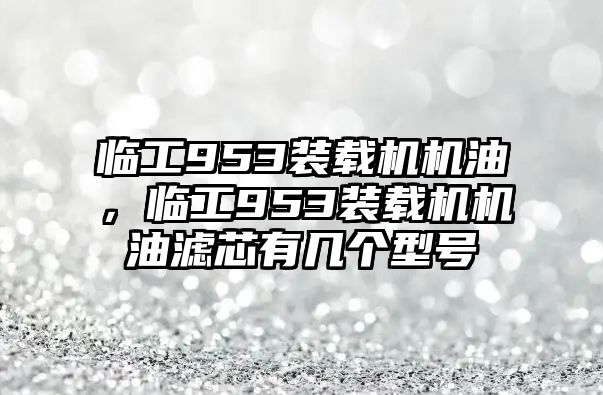 臨工953裝載機(jī)機(jī)油，臨工953裝載機(jī)機(jī)油濾芯有幾個(gè)型號(hào)