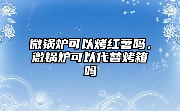 微鍋爐可以烤紅薯嗎，微鍋爐可以代替烤箱嗎