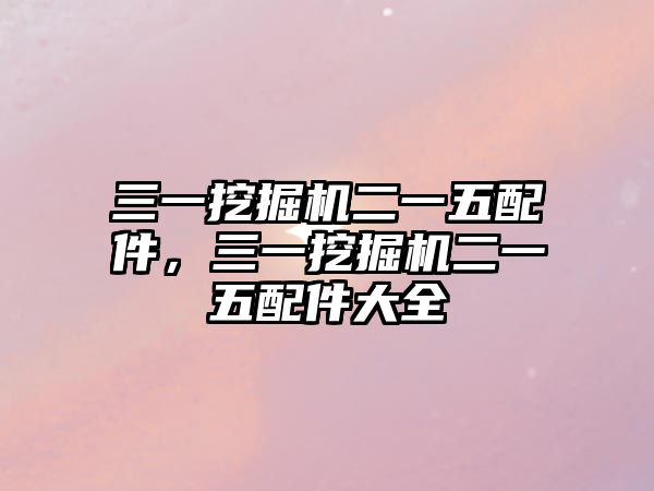 三一挖掘機二一五配件，三一挖掘機二一五配件大全