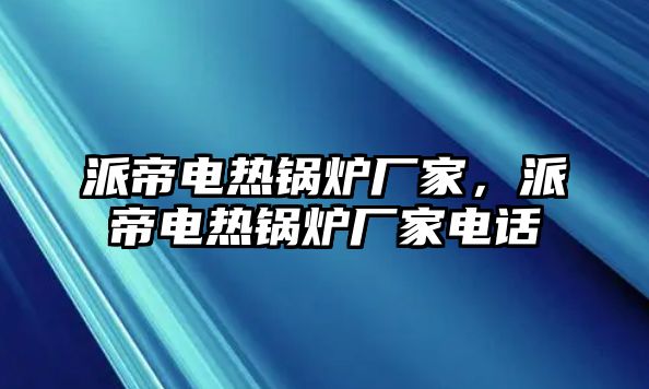 派帝電熱鍋爐廠家，派帝電熱鍋爐廠家電話