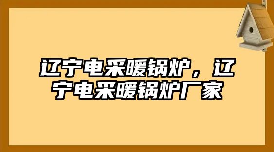 遼寧電采暖鍋爐，遼寧電采暖鍋爐廠家