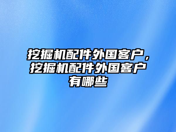 挖掘機配件外國客戶，挖掘機配件外國客戶有哪些