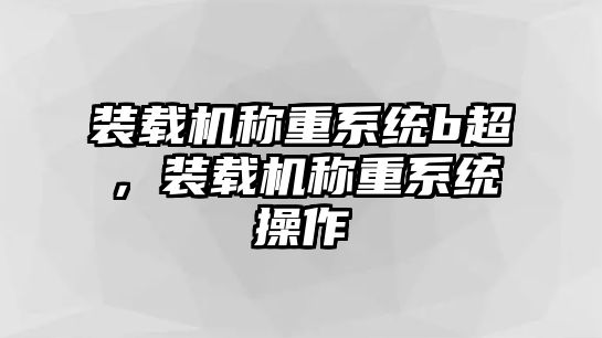 裝載機稱重系統(tǒng)b超，裝載機稱重系統(tǒng)操作