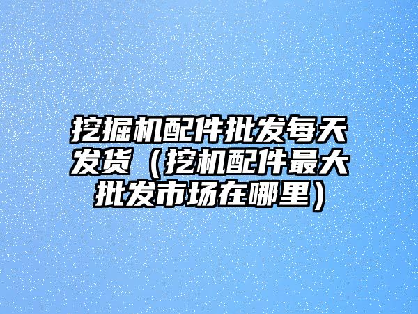 挖掘機(jī)配件批發(fā)每天發(fā)貨（挖機(jī)配件最大批發(fā)市場在哪里）