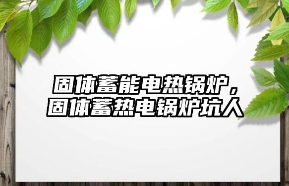 固體蓄能電熱鍋爐，固體蓄熱電鍋爐坑人