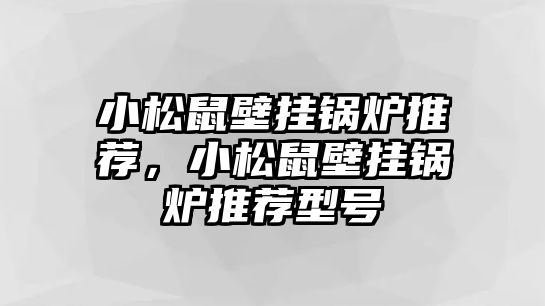 小松鼠壁掛鍋爐推薦，小松鼠壁掛鍋爐推薦型號(hào)