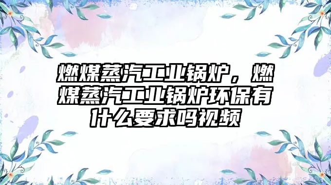 燃煤蒸汽工業(yè)鍋爐，燃煤蒸汽工業(yè)鍋爐環(huán)保有什么要求嗎視頻