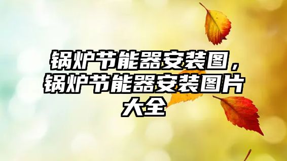 鍋爐節(jié)能器安裝圖，鍋爐節(jié)能器安裝圖片大全