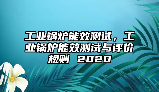 工業(yè)鍋爐能效測試，工業(yè)鍋爐能效測試與評價規(guī)則 2020