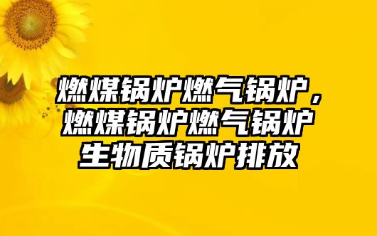 燃煤鍋爐燃?xì)忮仩t，燃煤鍋爐燃?xì)忮仩t生物質(zhì)鍋爐排放