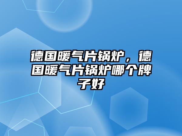 德國(guó)暖氣片鍋爐，德國(guó)暖氣片鍋爐哪個(gè)牌子好