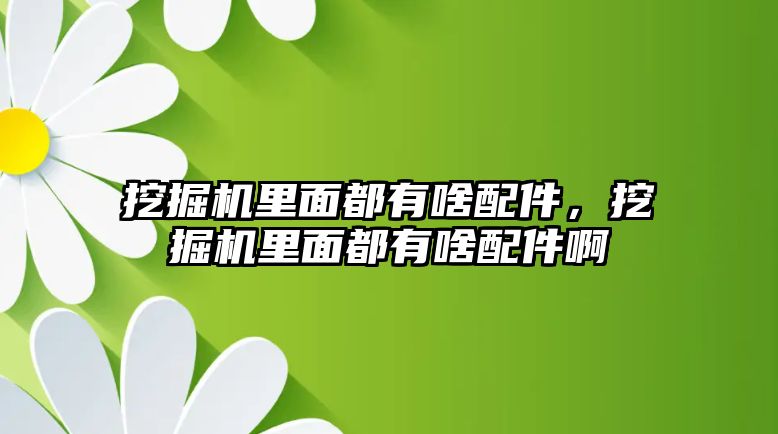 挖掘機(jī)里面都有啥配件，挖掘機(jī)里面都有啥配件啊