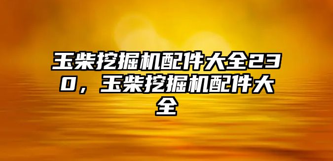 玉柴挖掘機(jī)配件大全230，玉柴挖掘機(jī)配件大全