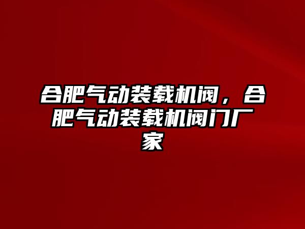 合肥氣動(dòng)裝載機(jī)閥，合肥氣動(dòng)裝載機(jī)閥門廠家