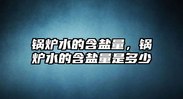 鍋爐水的含鹽量，鍋爐水的含鹽量是多少