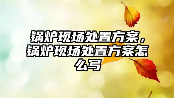 鍋爐現(xiàn)場處置方案，鍋爐現(xiàn)場處置方案怎么寫