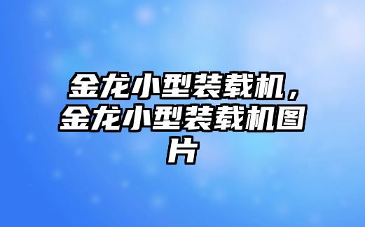 金龍小型裝載機(jī)，金龍小型裝載機(jī)圖片