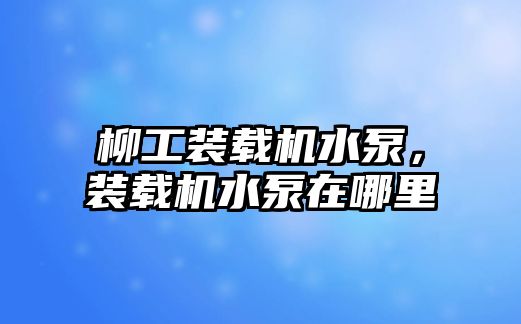 柳工裝載機水泵，裝載機水泵在哪里