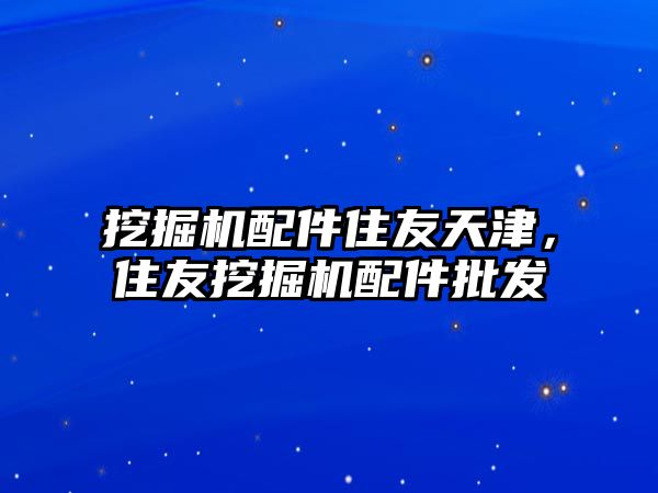 挖掘機配件住友天津，住友挖掘機配件批發(fā)