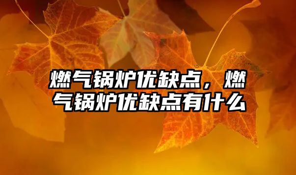 燃?xì)忮仩t優(yōu)缺點，燃?xì)忮仩t優(yōu)缺點有什么