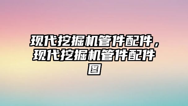 現(xiàn)代挖掘機(jī)管件配件，現(xiàn)代挖掘機(jī)管件配件圖