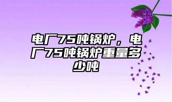 電廠75噸鍋爐，電廠75噸鍋爐重量多少噸