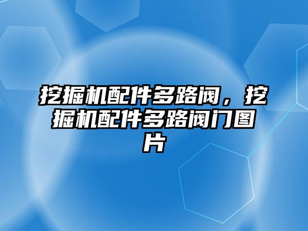 挖掘機(jī)配件多路閥，挖掘機(jī)配件多路閥門圖片