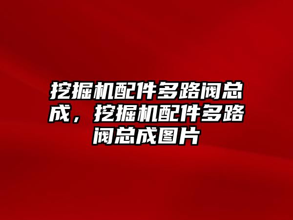 挖掘機配件多路閥總成，挖掘機配件多路閥總成圖片