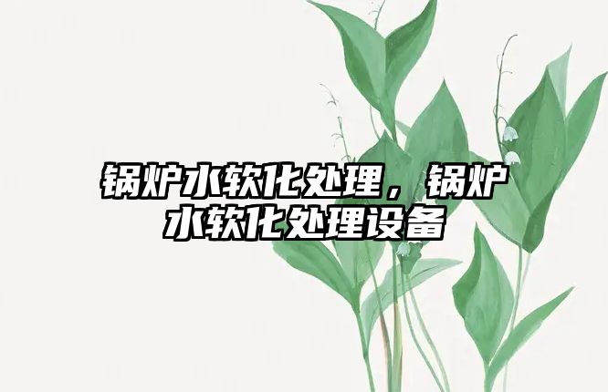 鍋爐水軟化處理，鍋爐水軟化處理設(shè)備