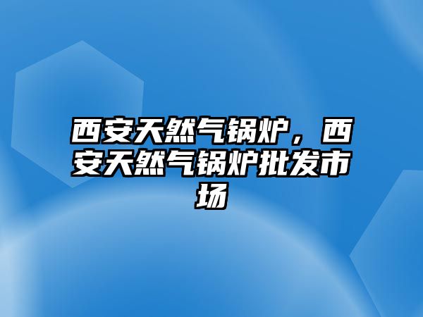 西安天然氣鍋爐，西安天然氣鍋爐批發(fā)市場(chǎng)