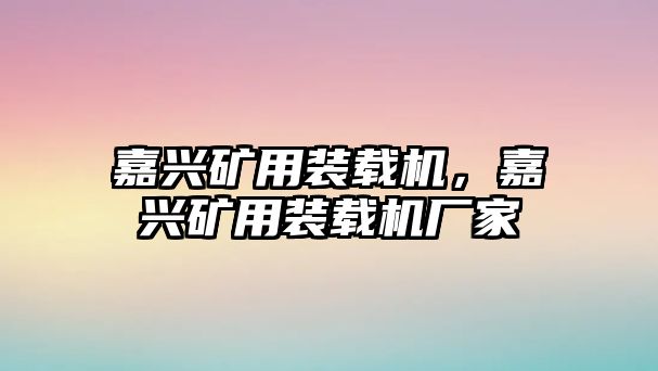 嘉興礦用裝載機(jī)，嘉興礦用裝載機(jī)廠家