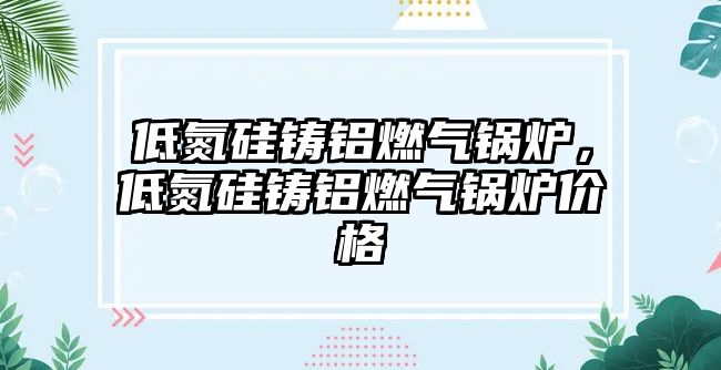 低氮硅鑄鋁燃?xì)忮仩t，低氮硅鑄鋁燃?xì)忮仩t價(jià)格