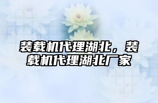 裝載機(jī)代理湖北，裝載機(jī)代理湖北廠家