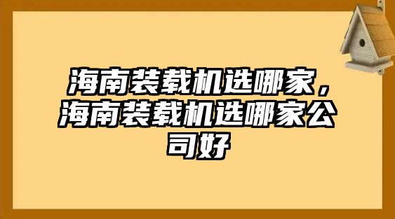 海南裝載機選哪家，海南裝載機選哪家公司好