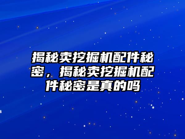 揭秘賣挖掘機配件秘密，揭秘賣挖掘機配件秘密是真的嗎