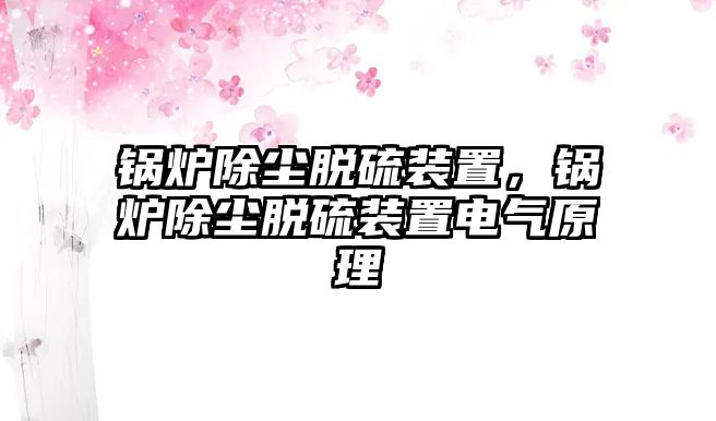 鍋爐除塵脫硫裝置，鍋爐除塵脫硫裝置電氣原理