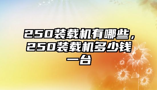 250裝載機(jī)有哪些，250裝載機(jī)多少錢一臺