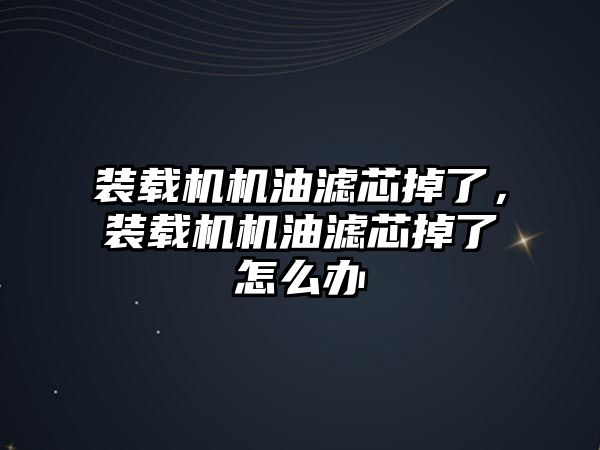 裝載機機油濾芯掉了，裝載機機油濾芯掉了怎么辦