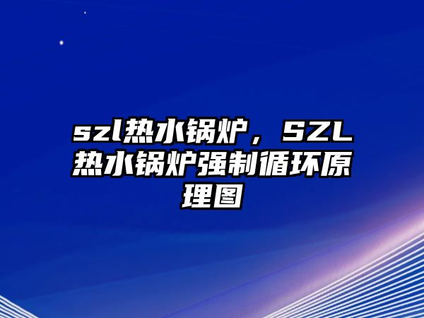 szl熱水鍋爐，SZL熱水鍋爐強(qiáng)制循環(huán)原理圖