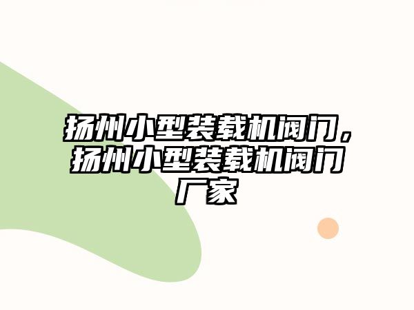 揚州小型裝載機閥門，揚州小型裝載機閥門廠家