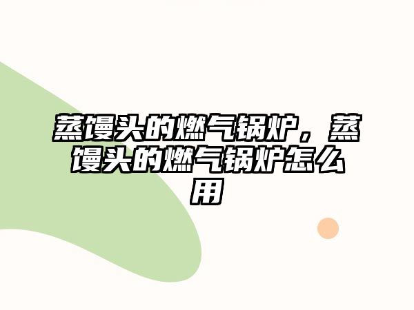 蒸饅頭的燃?xì)忮仩t，蒸饅頭的燃?xì)忮仩t怎么用