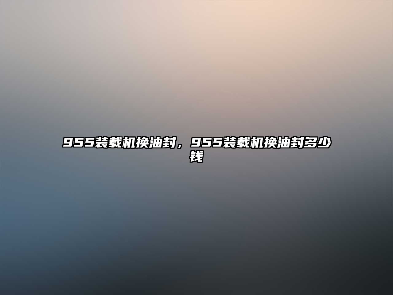 955裝載機(jī)換油封，955裝載機(jī)換油封多少錢