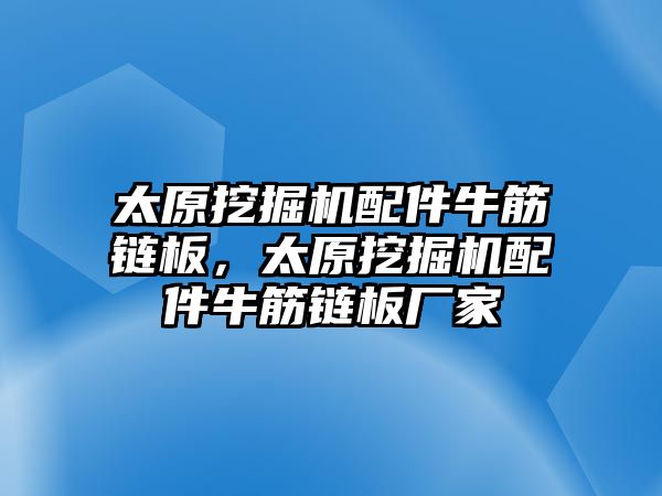 太原挖掘機配件牛筋鏈板，太原挖掘機配件牛筋鏈板廠家