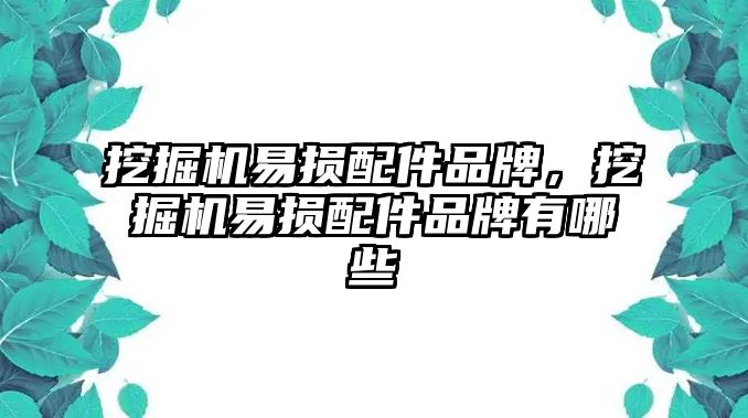 挖掘機(jī)易損配件品牌，挖掘機(jī)易損配件品牌有哪些