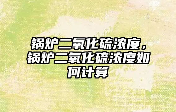 鍋爐二氧化硫濃度，鍋爐二氧化硫濃度如何計算