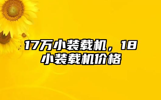 17萬小裝載機，18小裝載機價格