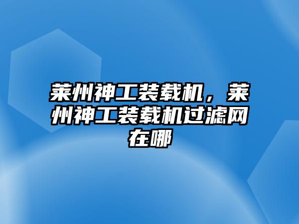 萊州神工裝載機，萊州神工裝載機過濾網(wǎng)在哪